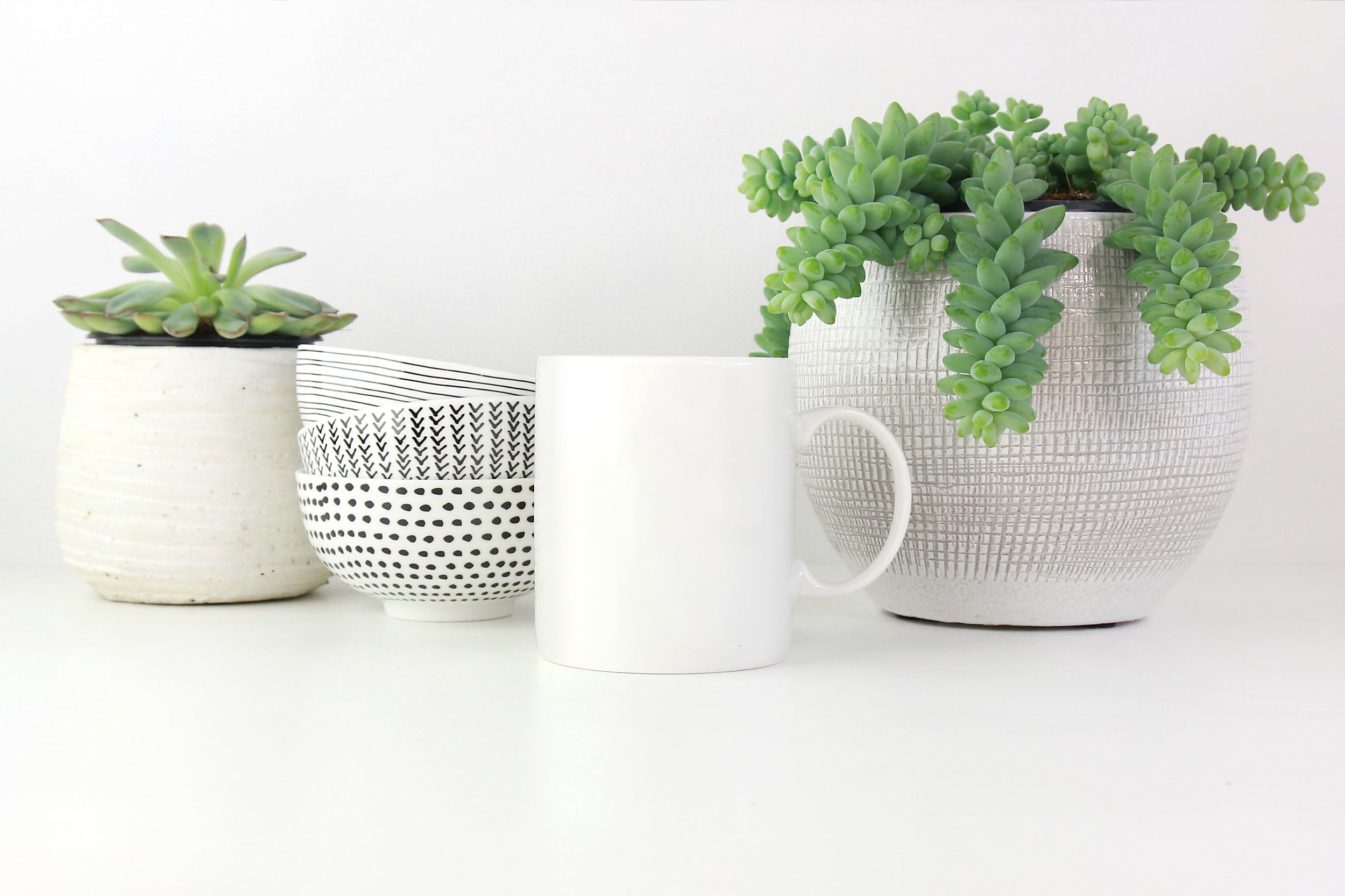 mugs.jpg