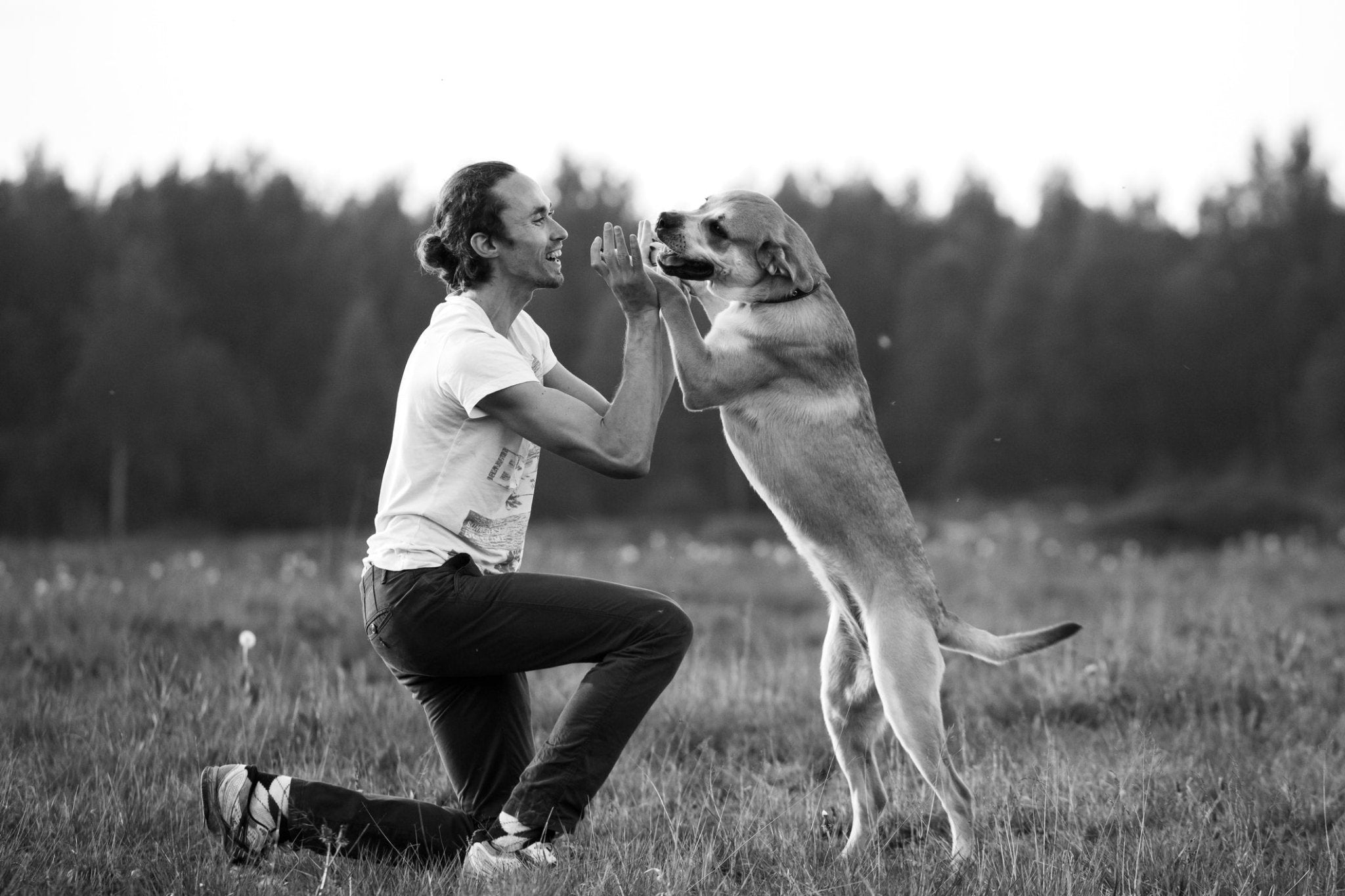 National Grief Awareness Day: A Personal Reflection on Loss and Empathy - Nifty Package Co