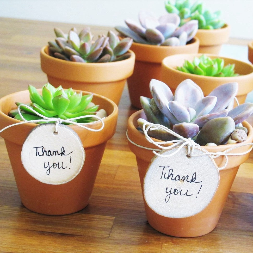 The Small Things Matter!
