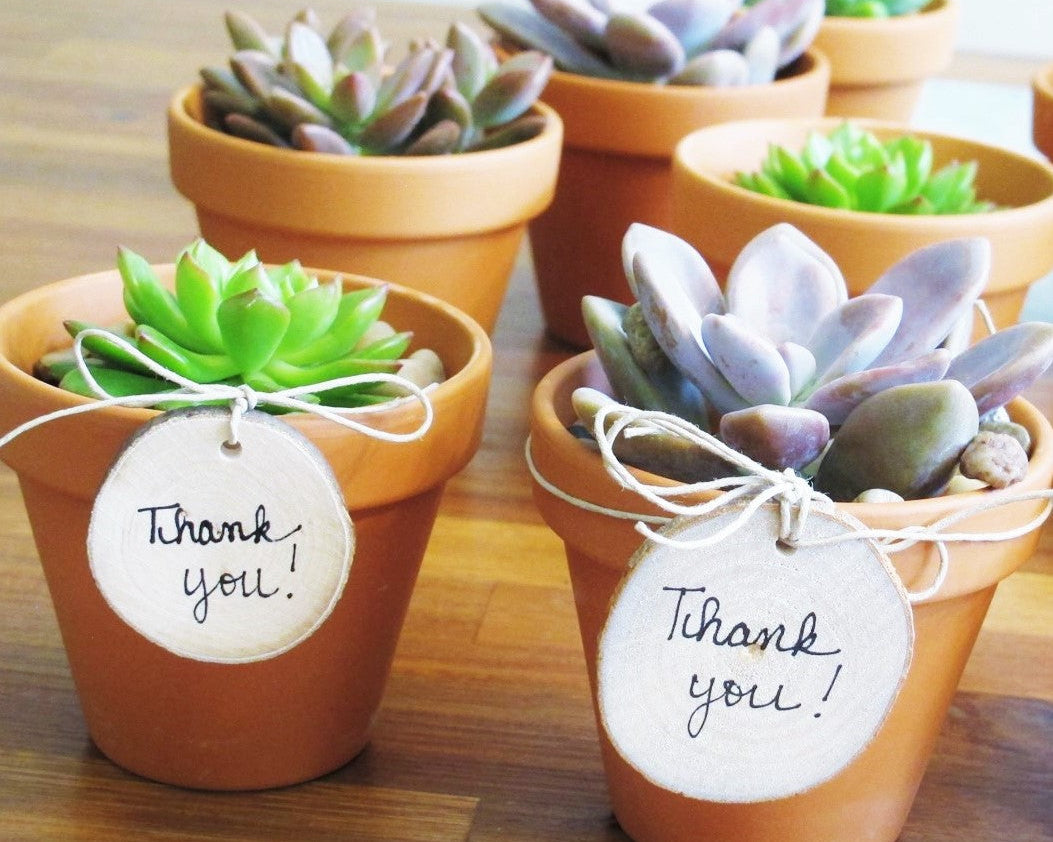 The Small Things Matter!